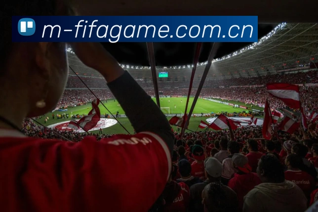 未来规划